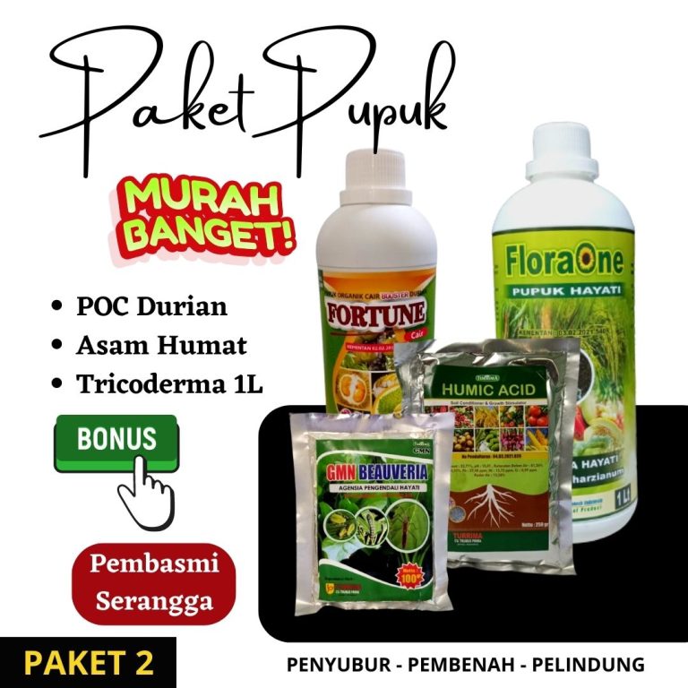 Pupuk Hayati Rhizobium untuk Tanaman Anggur: Rahasia Tingkatkan Hasil Panen dengan Cepat