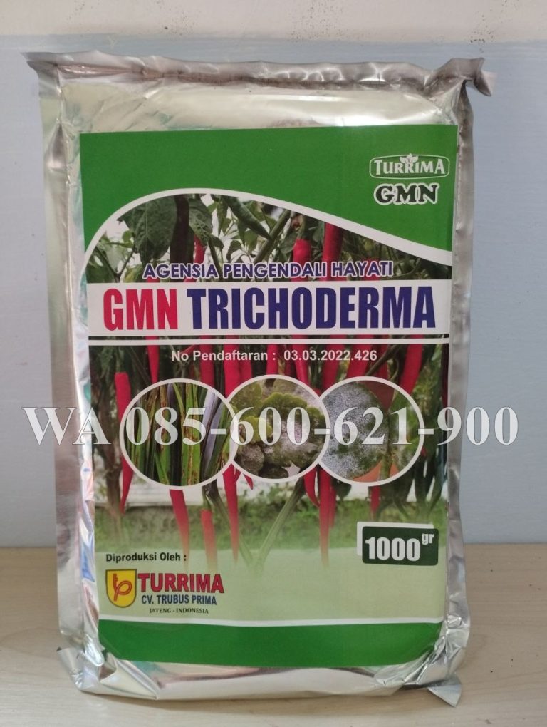 Peran TRICODERMA untuk Tanaman