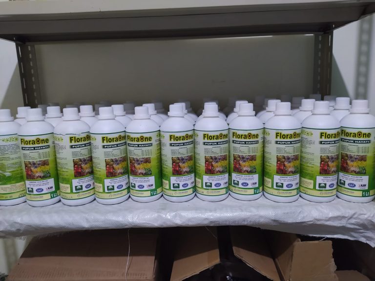 SEDANG DISKON!!! TELP! 0823-2292-4990, SUPPLIER Pupuk cabai yg bagus Aceh Besar, PABRIK Pupuk cabai yang bagus Aceh Tamiang, JUAL Pupuk cabai agar tidak rontok Kota Banda Aceh
