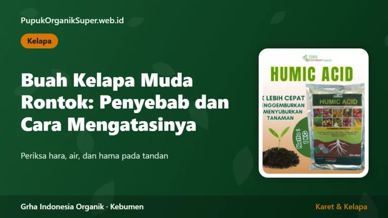 Buah Kelapa Muda Rontok: Penyebab dan Cara Mengatasinya