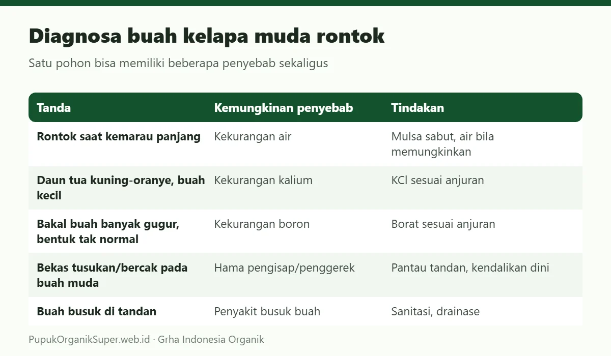 Diagnosa buah kelapa muda rontok