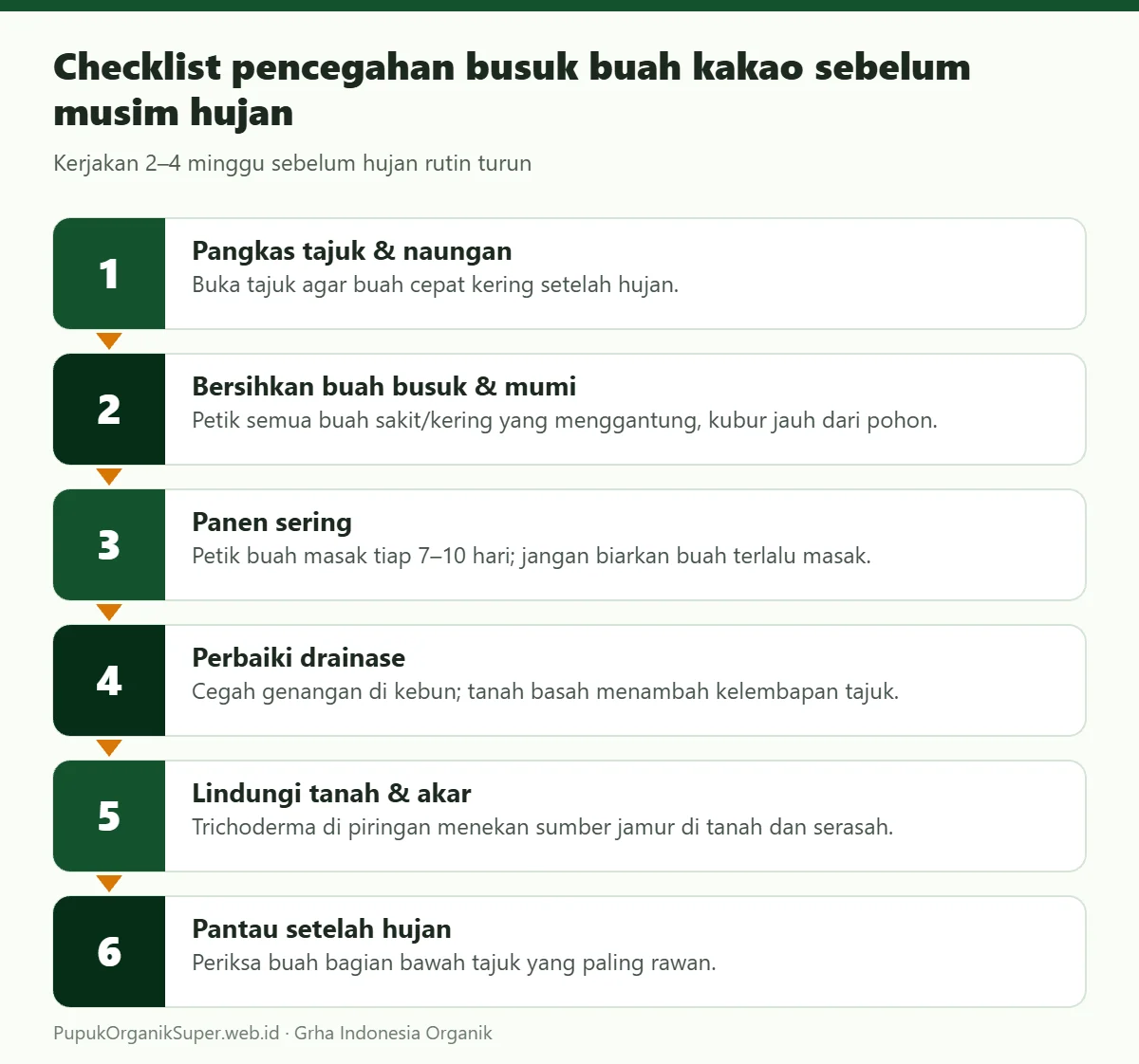Checklist pencegahan busuk buah kakao sebelum musim hujan