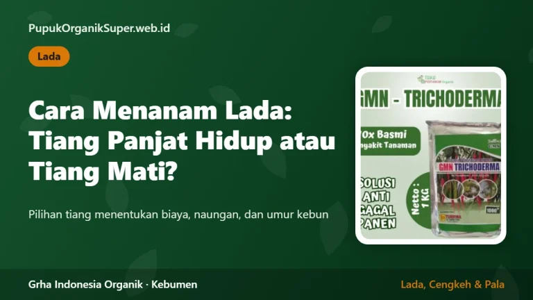 Cara Menanam Lada: Tiang Panjat Hidup atau Tiang Mati?