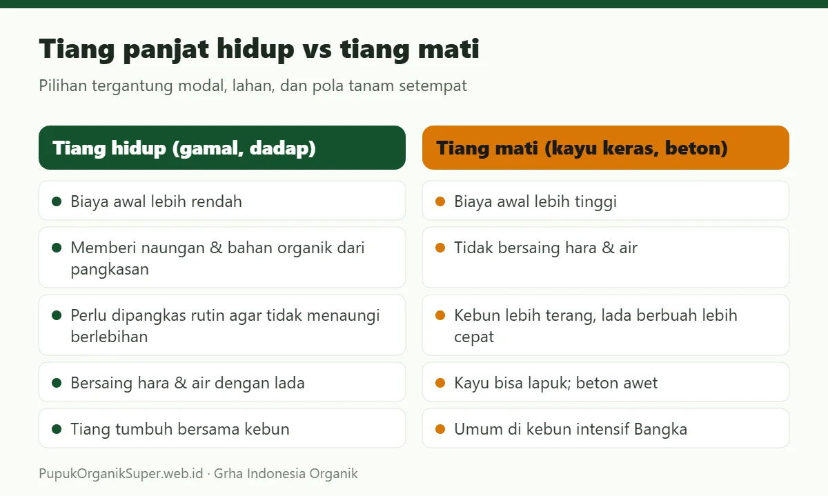 Tiang panjat hidup vs tiang mati
