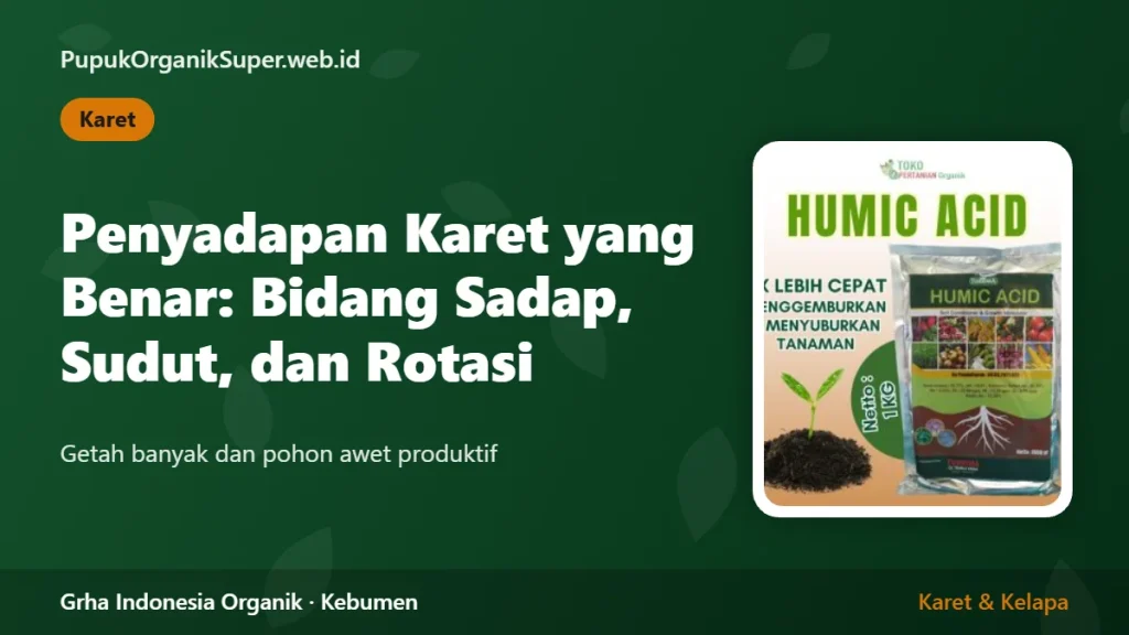 Penyadapan Karet yang Benar: Bidang Sadap, Sudut, dan Rotasi