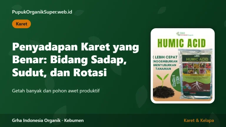 Penyadapan Karet yang Benar: Bidang Sadap, Sudut, dan Rotasi