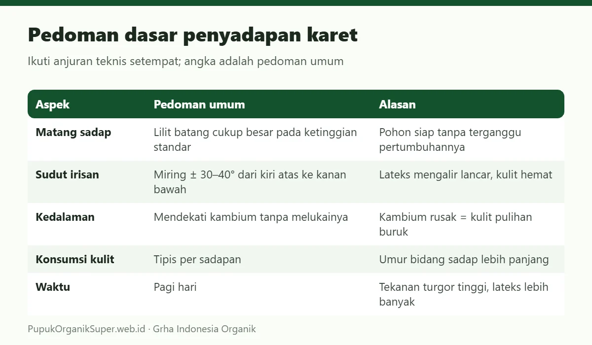 Pedoman dasar penyadapan karet