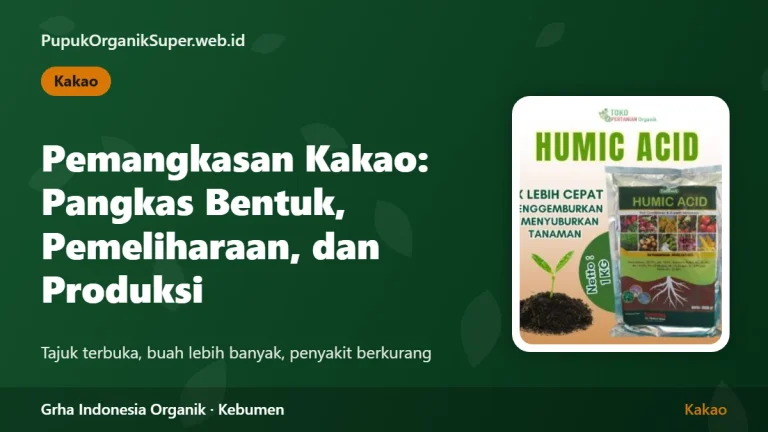 Pemangkasan Kakao: Pangkas Bentuk, Pemeliharaan, dan Produksi