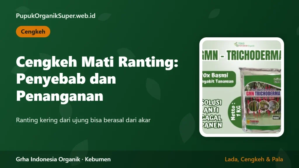 Cengkeh Mati Ranting: Penyebab dan Penanganan