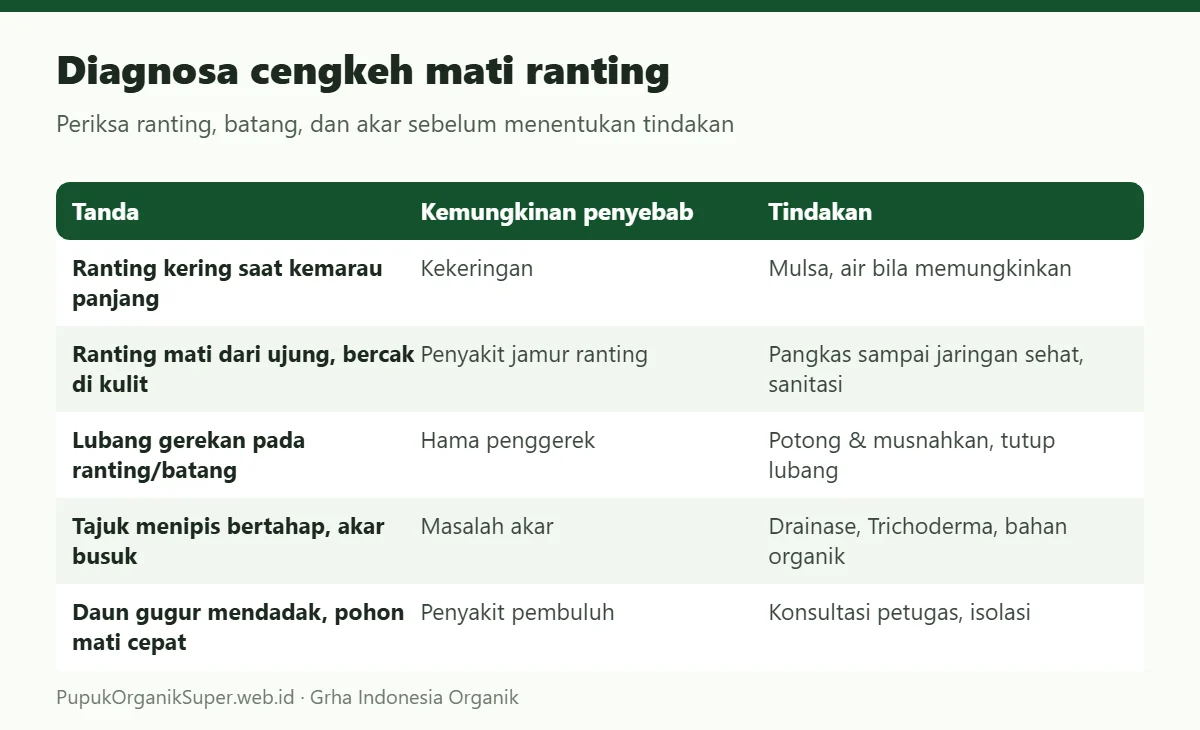 Diagnosa cengkeh mati ranting