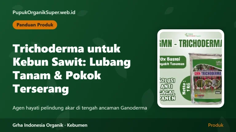 Trichoderma untuk Kebun Sawit: Aplikasi di Lubang Tanam dan Pokok Terserang