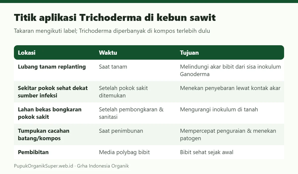 Titik aplikasi Trichoderma di kebun sawit
