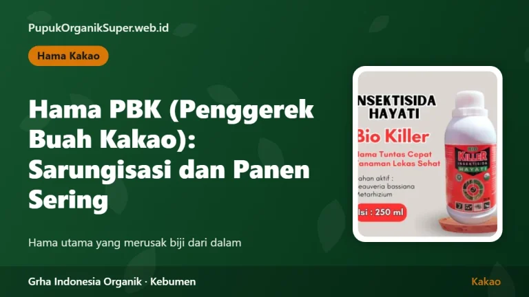 Hama PBK (Penggerek Buah Kakao): Sarungisasi dan Panen Sering