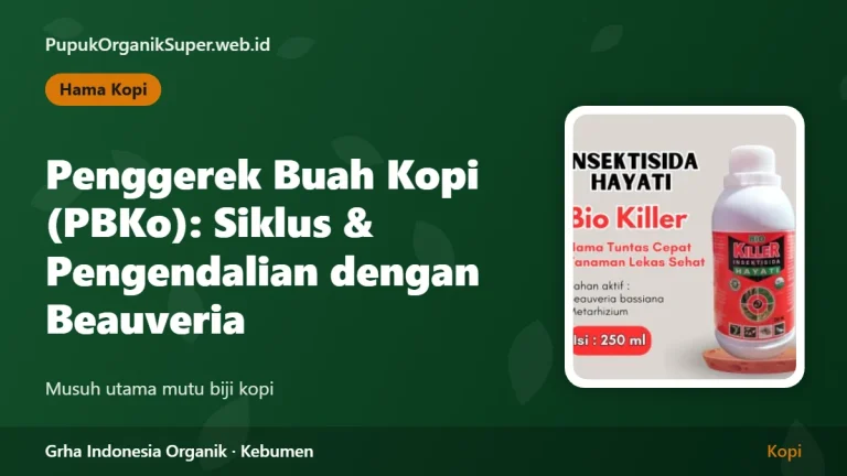 Hama Penggerek Buah Kopi (PBKo): Siklus dan Pengendalian dengan Beauveria
