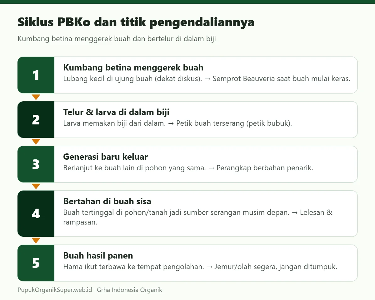 Siklus PBKo dan titik pengendaliannya