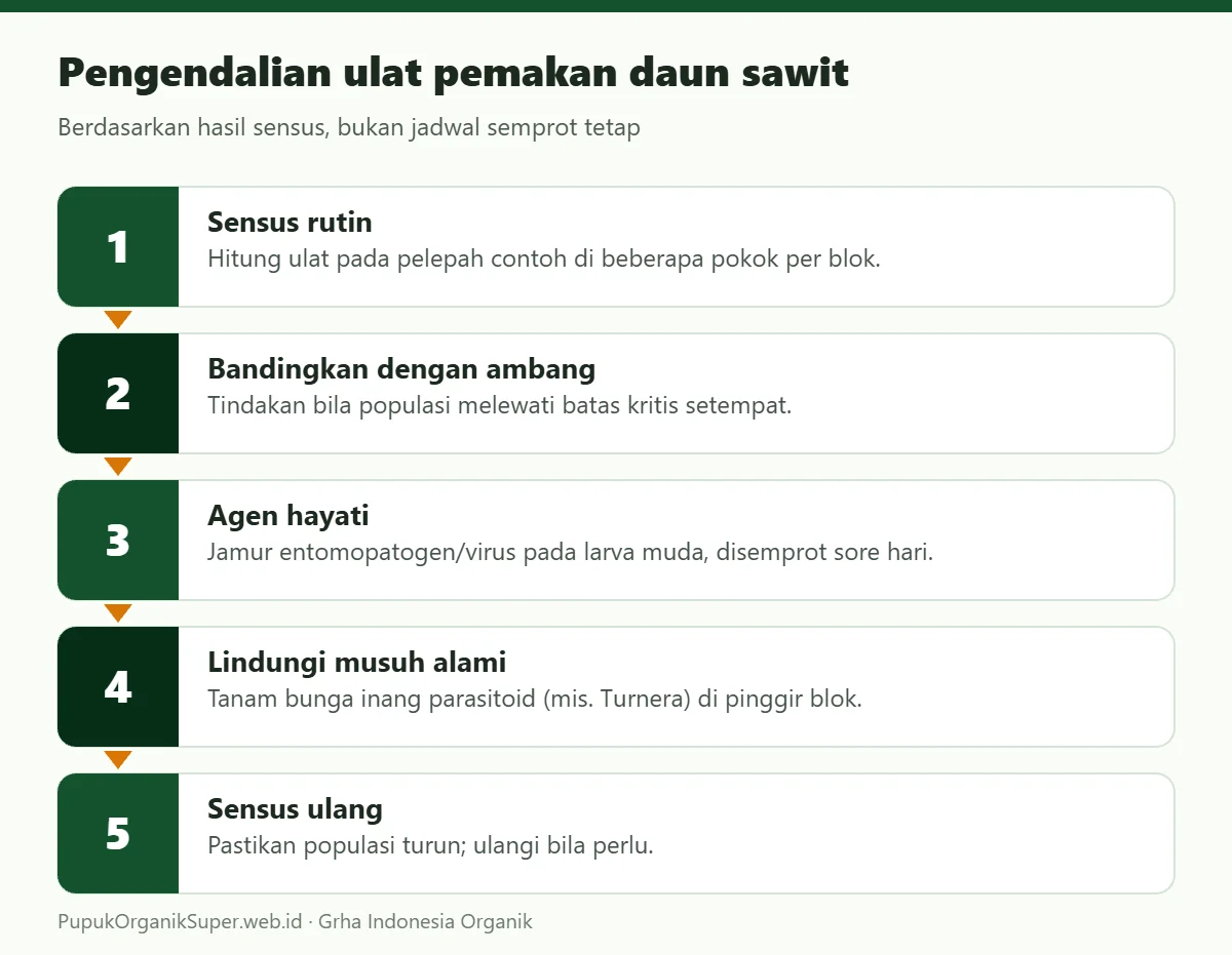 Pengendalian ulat pemakan daun sawit