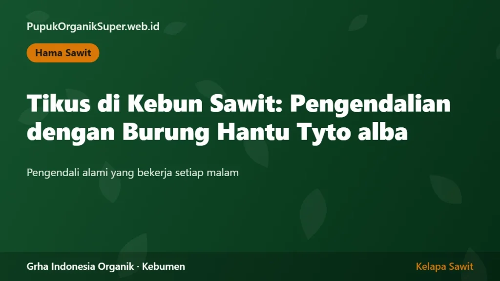 Tikus di Kebun Sawit: Pengendalian dengan Burung Hantu Tyto alba