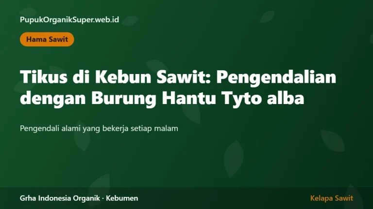 Tikus di Kebun Sawit: Pengendalian dengan Burung Hantu Tyto alba