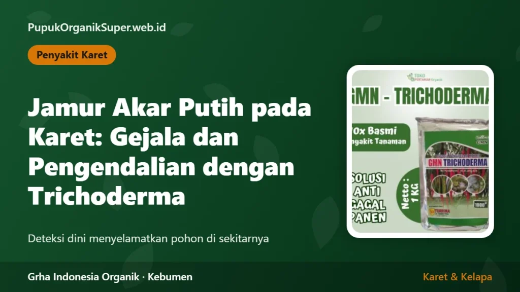 Jamur Akar Putih pada Karet: Gejala dan Pengendalian dengan Trichoderma