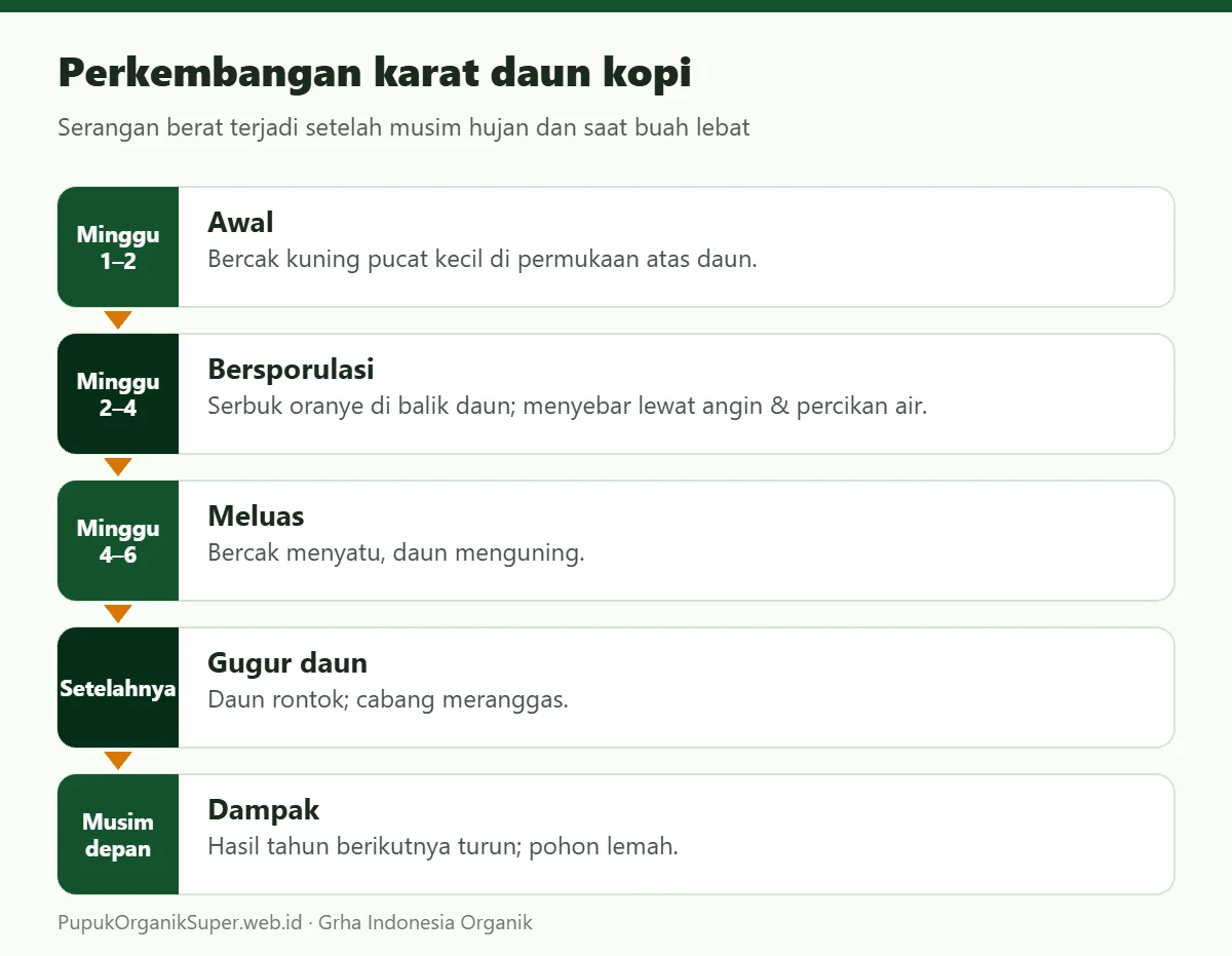 Perkembangan karat daun kopi