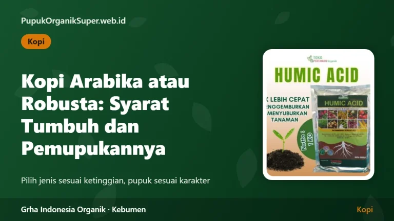 Kopi Arabika atau Robusta: Syarat Tumbuh dan Pemupukannya