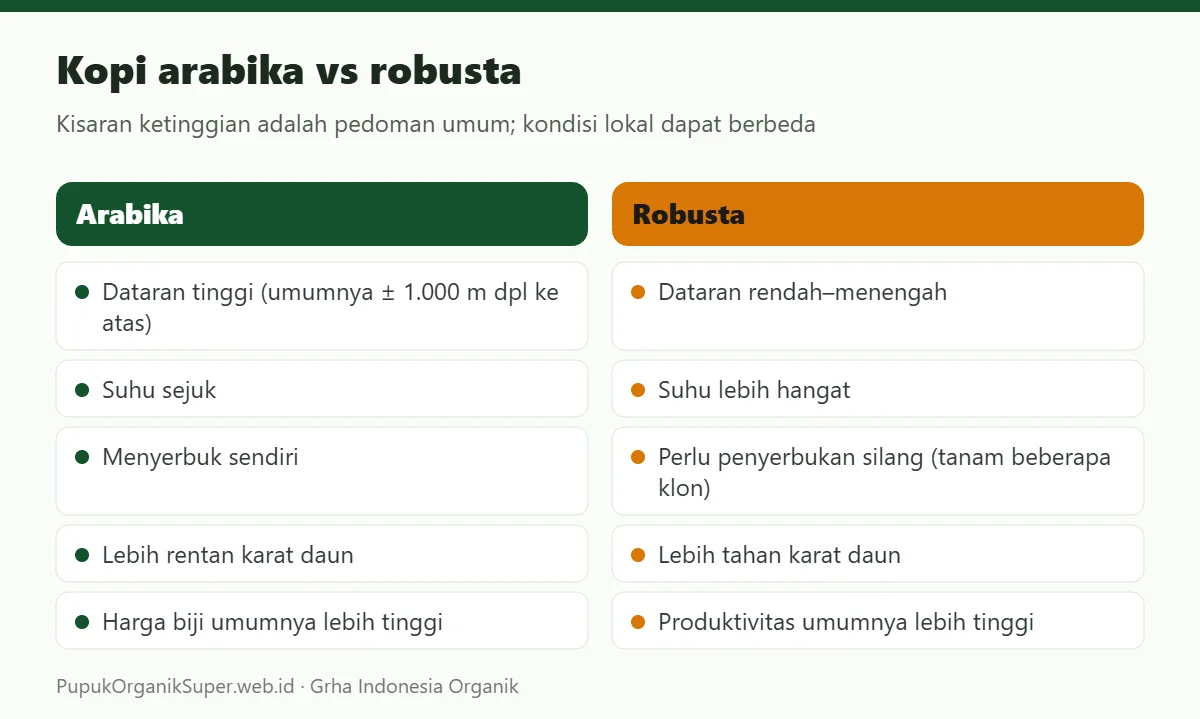 Kopi arabika vs robusta