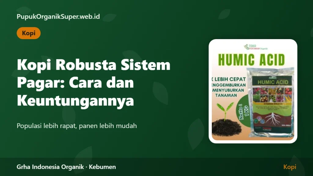 Kopi Robusta Sistem Pagar: Cara dan Keuntungannya