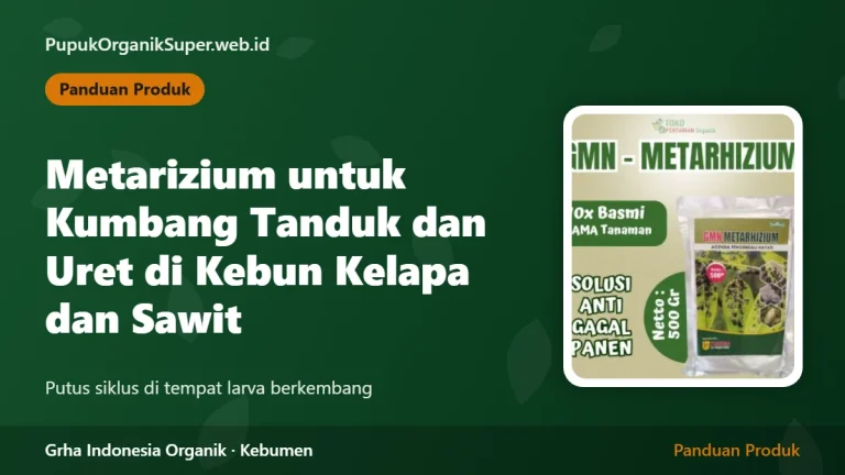 Metarizium untuk Kumbang Tanduk dan Uret di Kebun Kelapa dan Sawit