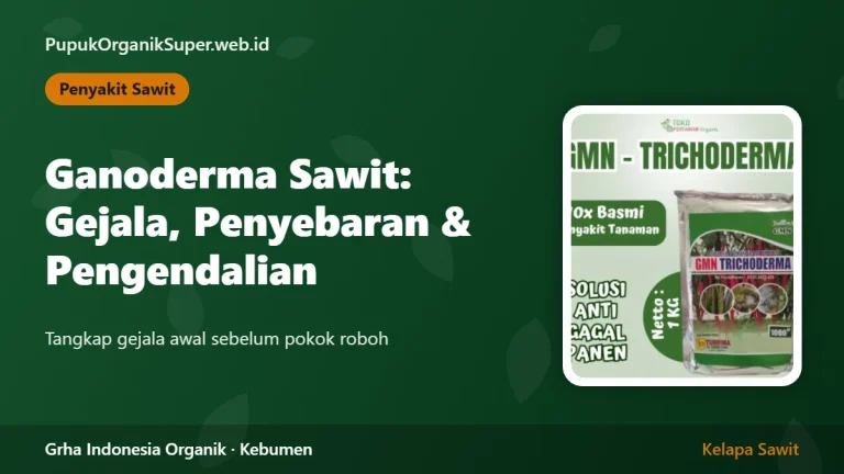 Ganoderma Sawit: Gejala, Penyebaran, dan Pengendalian dengan Trichoderma