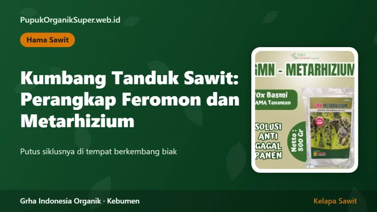 Kumbang Tanduk Sawit: Perangkap Feromon dan Metarhizium