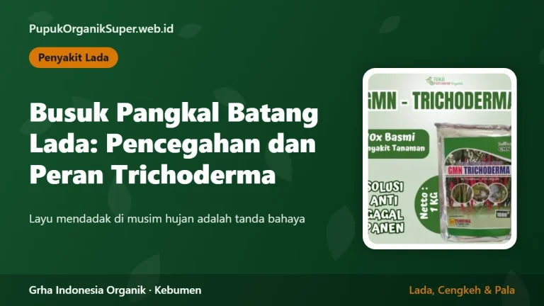 Busuk Pangkal Batang Lada: Pencegahan dan Peran Trichoderma
