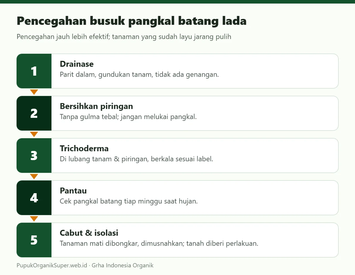 Pencegahan busuk pangkal batang lada
