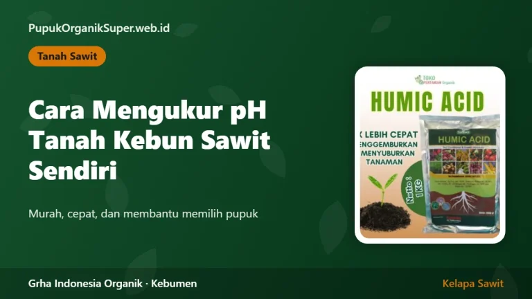 Cara Mengukur pH Tanah Kebun Sawit Sendiri
