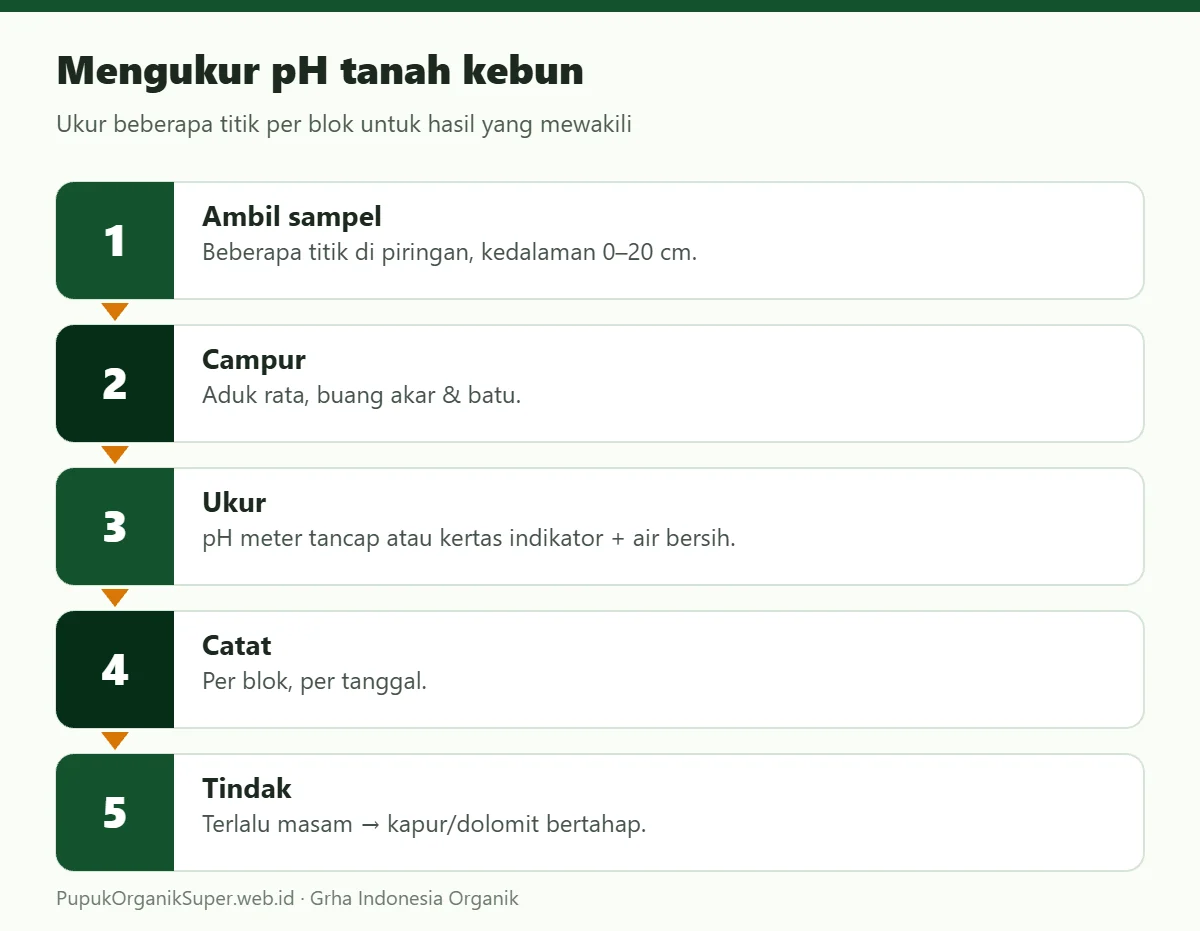 Mengukur pH tanah kebun