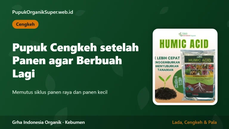 Pupuk Cengkeh setelah Panen agar Berbuah Lagi