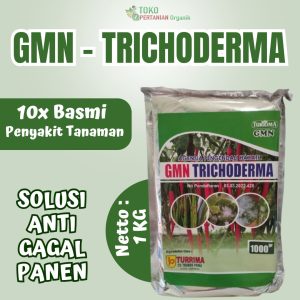 Fungisida Hayati Trichoderma, Pupuk Tricoderma atasi Layu fusarium