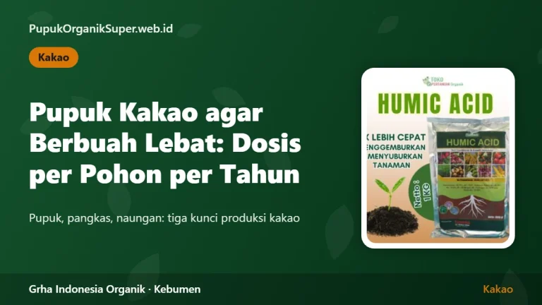 Pupuk Kakao agar Berbuah Lebat: Dosis per Pohon per Tahun