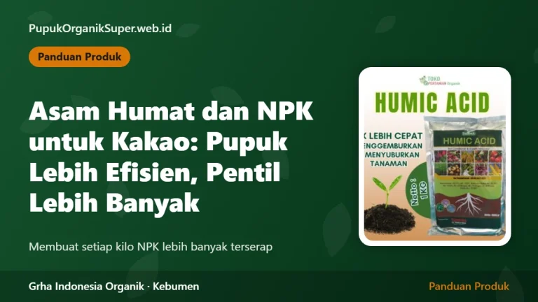 Asam Humat dan NPK untuk Kakao: Pupuk Lebih Efisien, Pentil Lebih Banyak