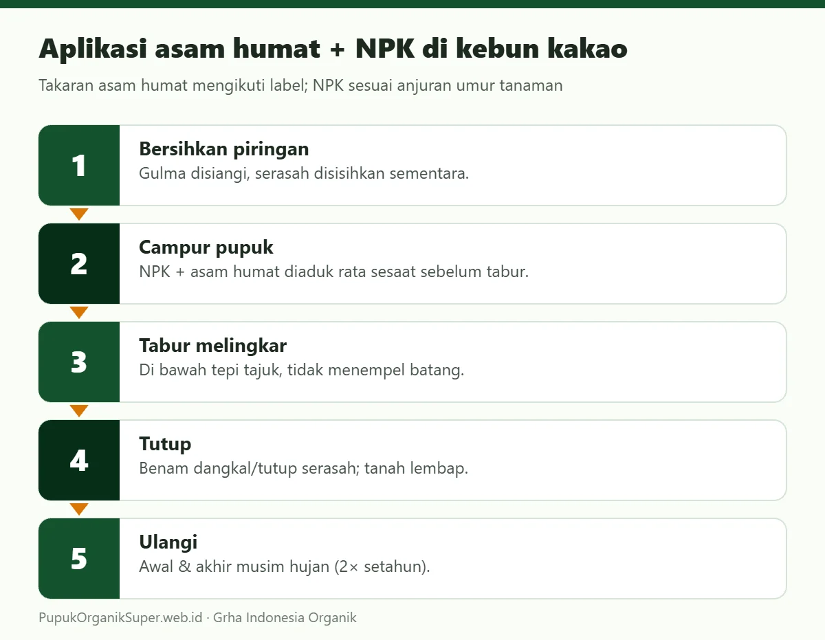 Aplikasi asam humat + NPK di kebun kakao