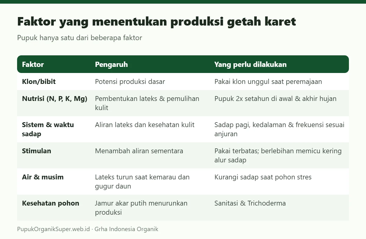 Faktor yang menentukan produksi getah karet