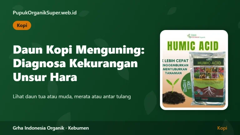 Daun Kopi Menguning: Diagnosa Kekurangan Unsur Hara