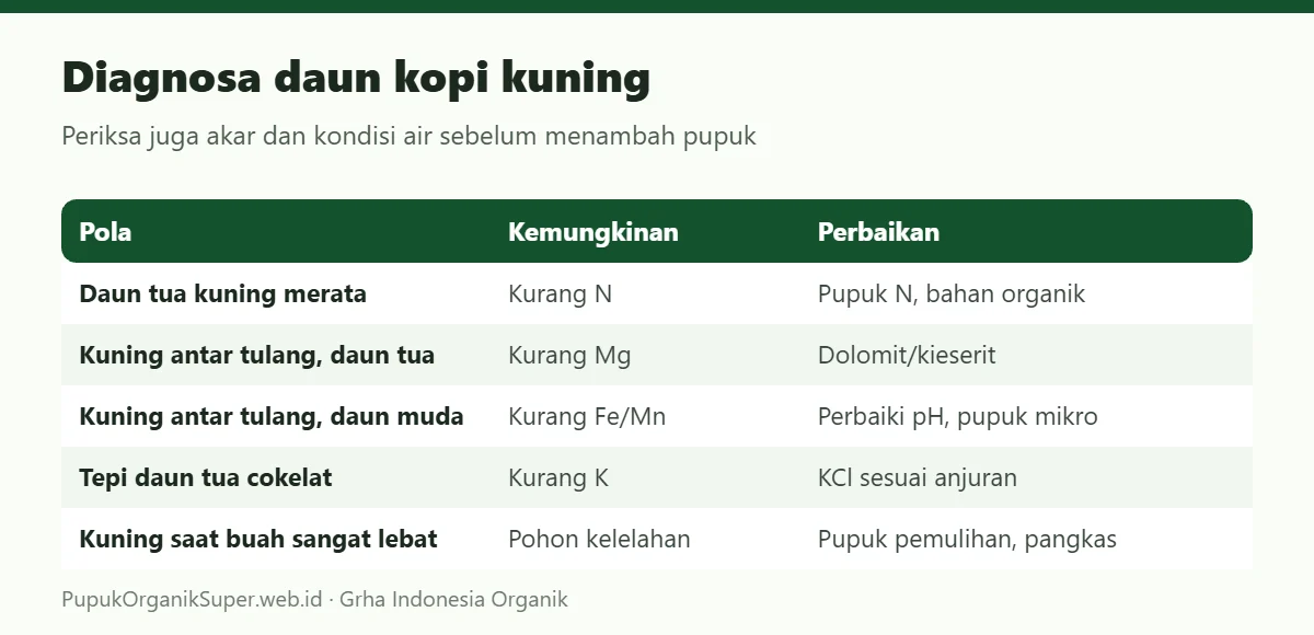 Diagnosa daun kopi kuning