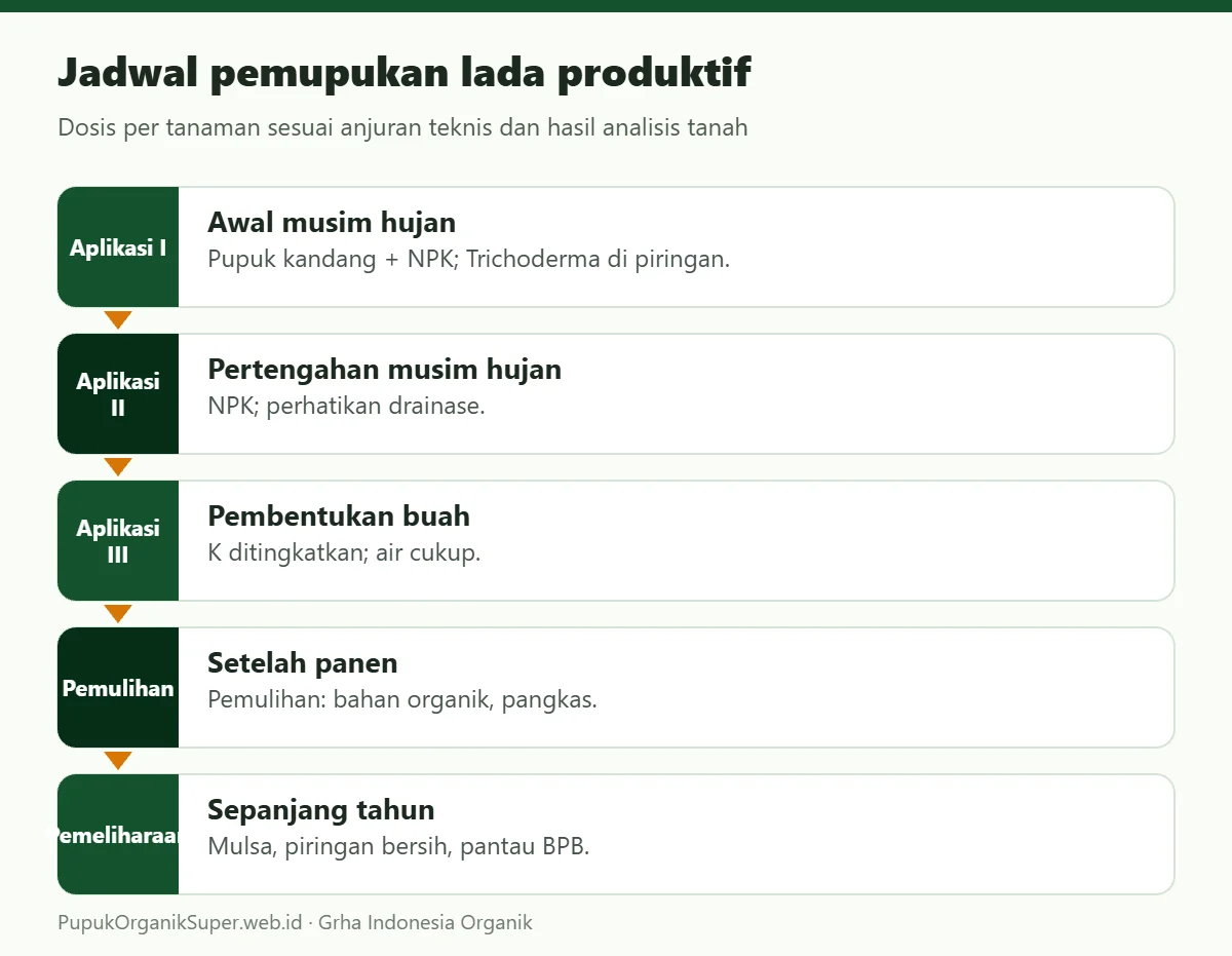 Jadwal pemupukan lada produktif