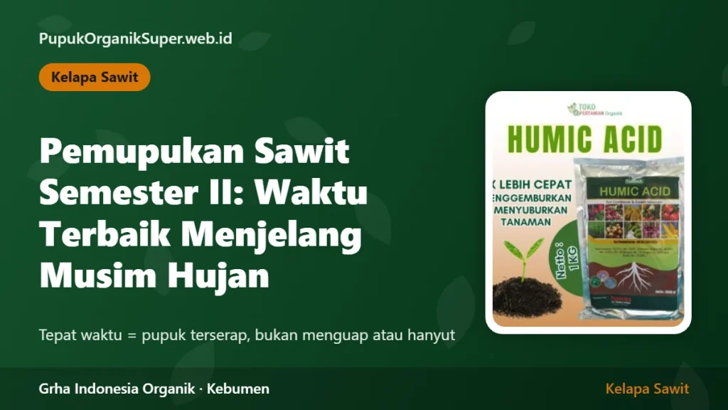 Pemupukan Sawit Semester II: Waktu Terbaik Menjelang Musim Hujan