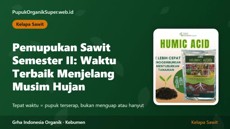 Pemupukan Sawit Semester II: Waktu Terbaik Menjelang Musim Hujan