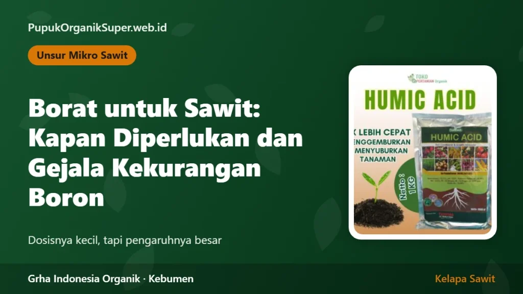 Borat untuk Sawit: Kapan Diperlukan dan Gejala Kekurangan Boron
