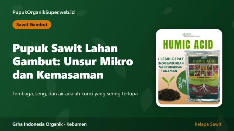 Pupuk Sawit Lahan Gambut: Unsur Mikro dan Kemasaman