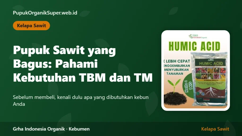 Pupuk Sawit yang Bagus: Membaca Kebutuhan TBM dan TM Sebelum Membeli