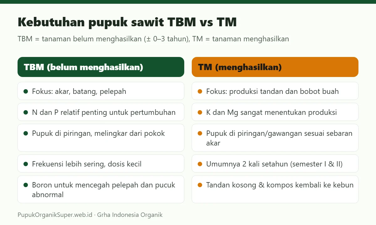 Kebutuhan pupuk sawit TBM vs TM