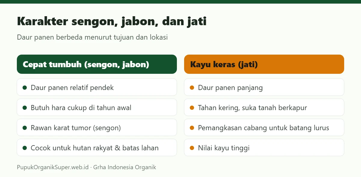 Karakter sengon, jabon, dan jati